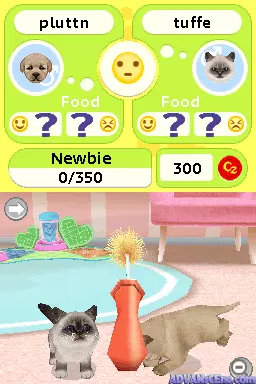 Image n° 3 - screenshots : Petz - Puppyz & Kittenz